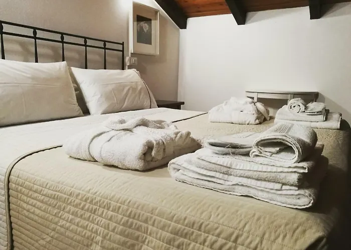 Blq La Santa Bolonia